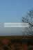 Moon between Cables 2-Loch of Strathbeg.jpg (72kb)